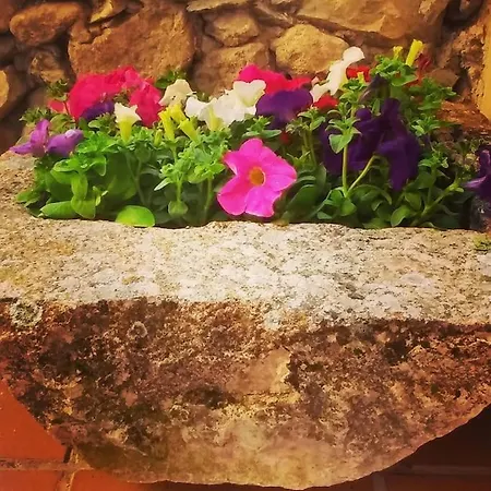 Casa vacanze El Pajar De Tenzuela Pelayos del Arroyo