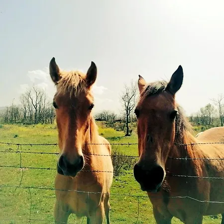 Casa vacanze El Pajar De Tenzuela *