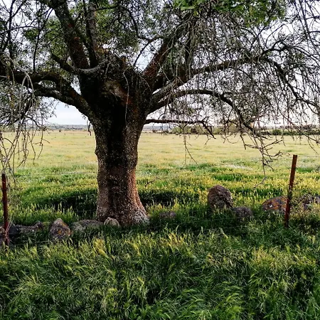 Casa vacanze El Pajar De Tenzuela