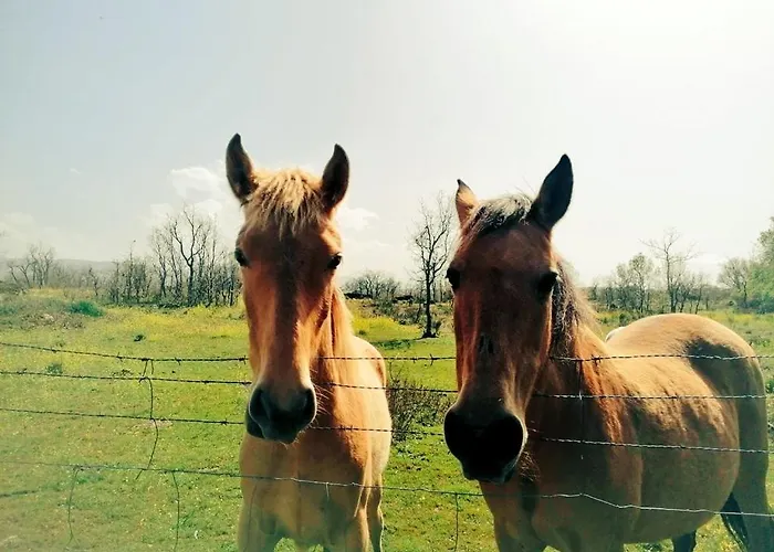 Prázdninový dům El Pajar De Tenzuela *